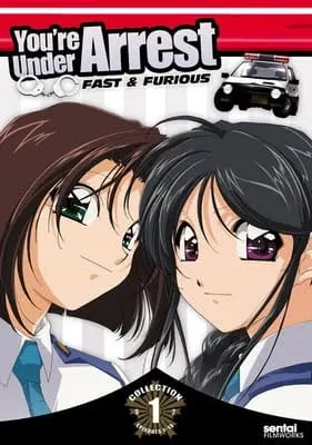 Вы арестованы! 2 сезон